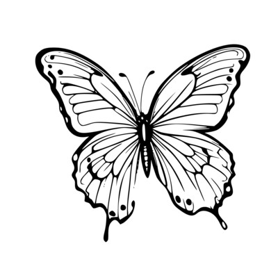 Ausmalbild Schmetterling - Kostenlose Malvorlage