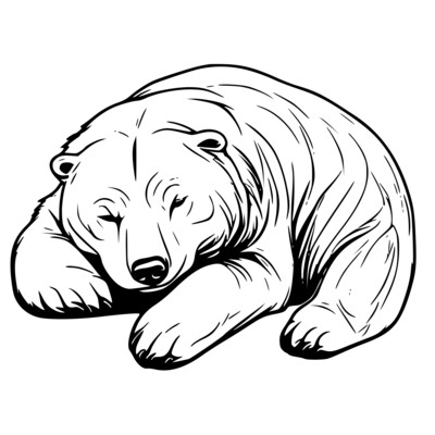 Ausmalbild Schlafender Bär für Kostenlose Malvorlagen