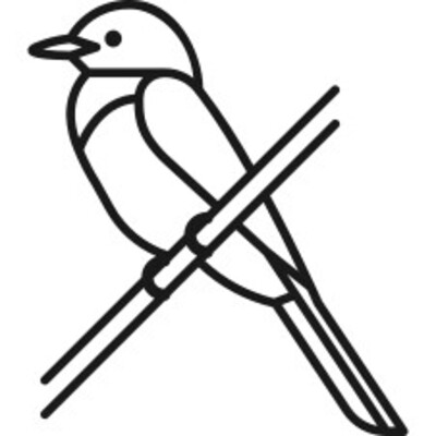 Ausmalbild Vogel - Kostenlose Malvorlage